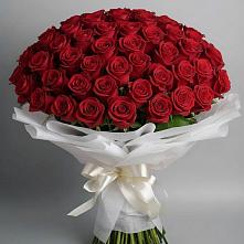 Букет 101 Красная роза Блэк Мэджик в Новокасторное