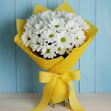 Букет цветов из:  Хризантемы в Новокасторное