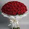 Букет 101 Красная роза Блэк Мэджик в Новокасторное