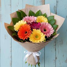 Букет цветов из:  Герберы #REPLACE_PRED# Новокасторное