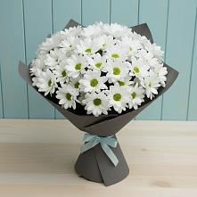 Букет цветов из:  Хризантемы в Новокасторное