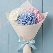 Букет цветов из:  Гортензия в Новокасторное