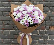 Букет цветов из:  Хризантемы в Новокасторное