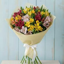 Букет цветов из:  Альстромерии в Новокасторное
