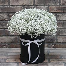 Цветочная композиция из Гипсофила в шляпной коробке #REPLACE_PRED# Новокасторное