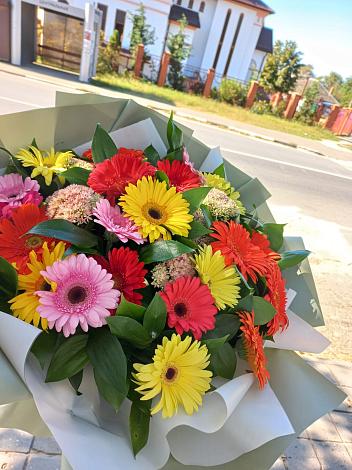 Букет цветов из: Герберы в Новокасторное