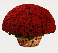 Премиум букет из: Розы в Новокасторное