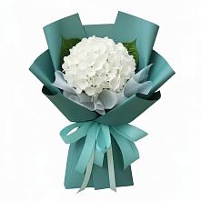 Букет цветов из:  Гортензия в Новокасторное